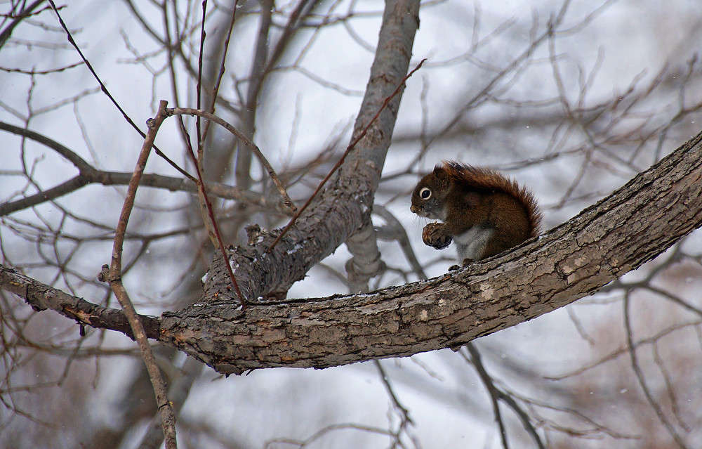 � ����� ����� �������  �� PhotoGeek.ru #�������� ���