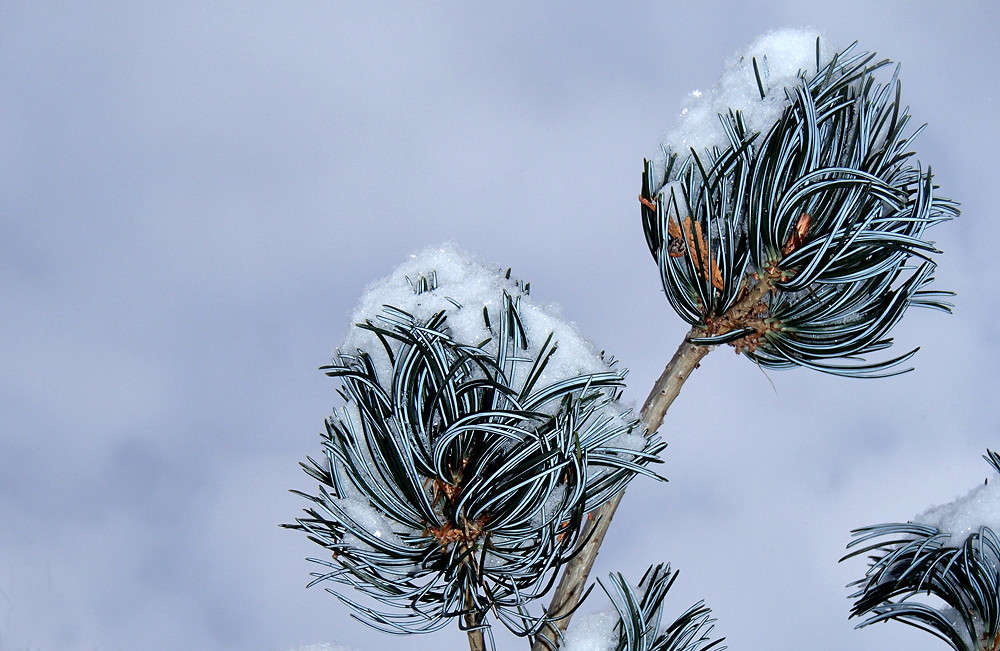 ���������� ������� ����� �������  �� PhotoGeek.ru #������ ��� �������