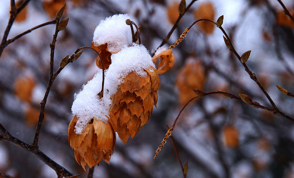 ������ ������ ����� �������  �� PhotoGeek.ru #������ ��� �������