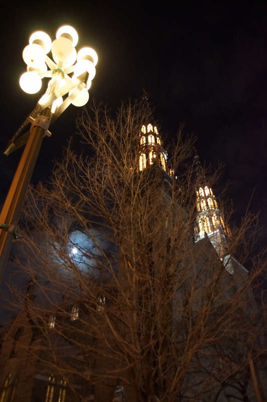 ����� ������ ���� ����� �������  �� PhotoGeek.ru #�����