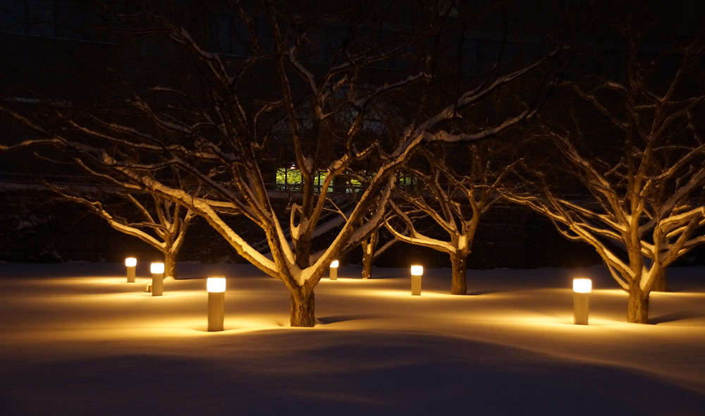 ������ ������� ��� ����� ����� �������  �� PhotoGeek.ru #�����