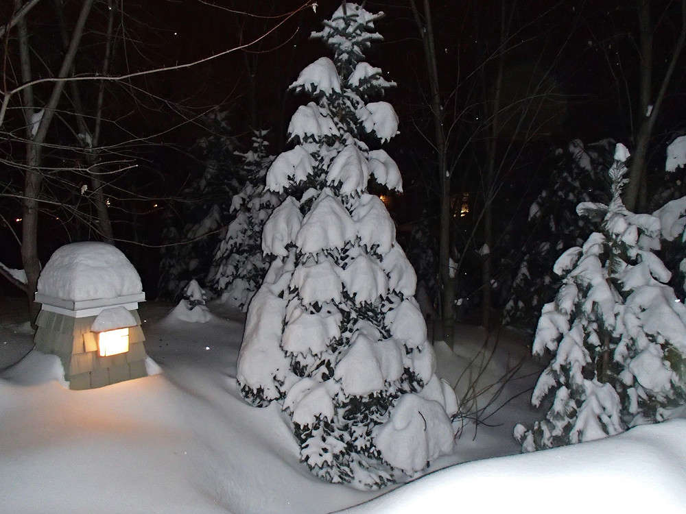 � ������ ���� ����� �������  �� PhotoGeek.ru #�����