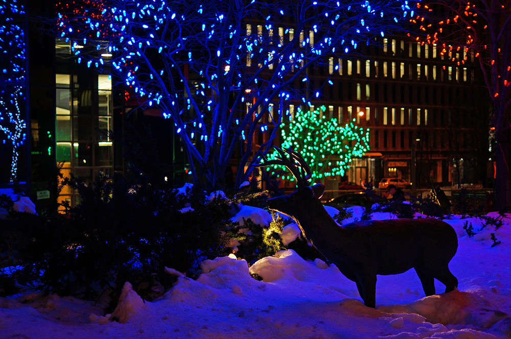 ����������� ����� �������  �� PhotoGeek.ru #�����