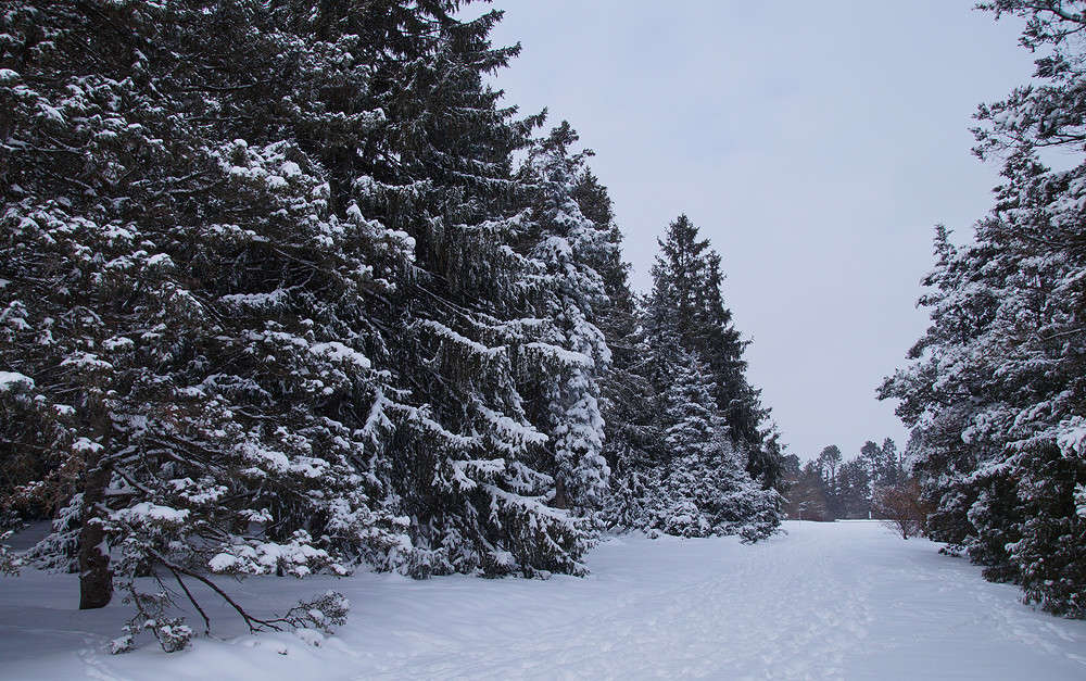 ����� ����� ������� ����� �������  �� PhotoGeek.ru #�����