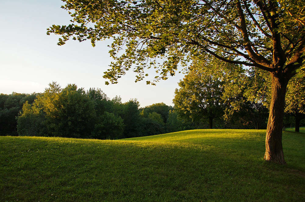 �����, � �������! ����� �������  �� PhotoGeek.ru #�����