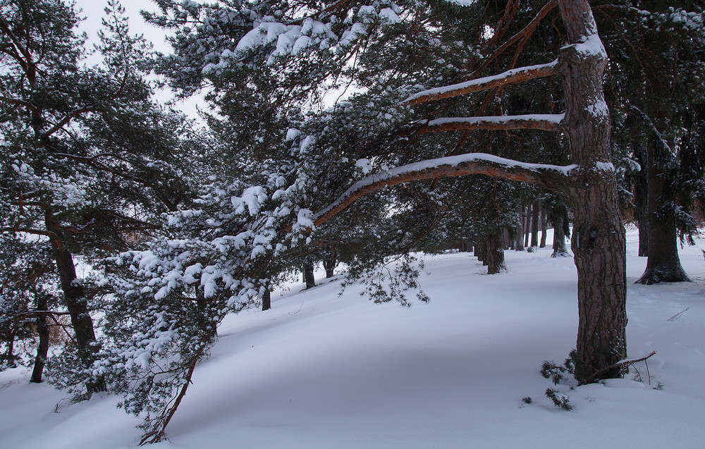 ������ ��� ������ ����� �������  �� PhotoGeek.ru #������ ��� �������