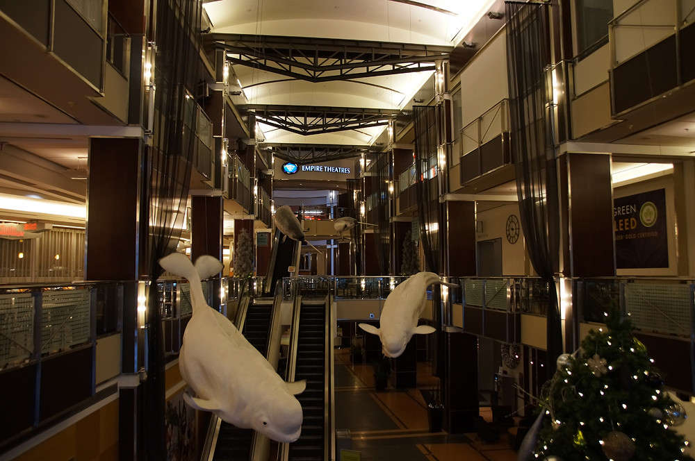 ����� ������ ����� �������  �� PhotoGeek.ru #�����