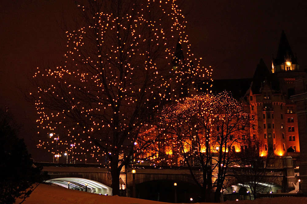 ����� � ���� ����� �������  �� PhotoGeek.ru #�����