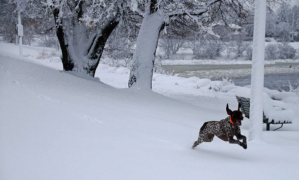 ������� ���� ����� �������  �� PhotoGeek.ru #�������� ���