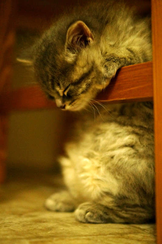 �� ����� ����� �������  �� PhotoGeek.ru #�������� ���