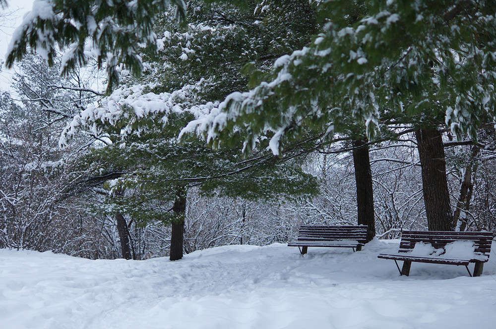 �� ������ ���� ����� �������  �� PhotoGeek.ru #������ ��� �������