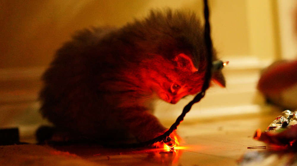 �������� ����� �������  �� PhotoGeek.ru #�������� ���