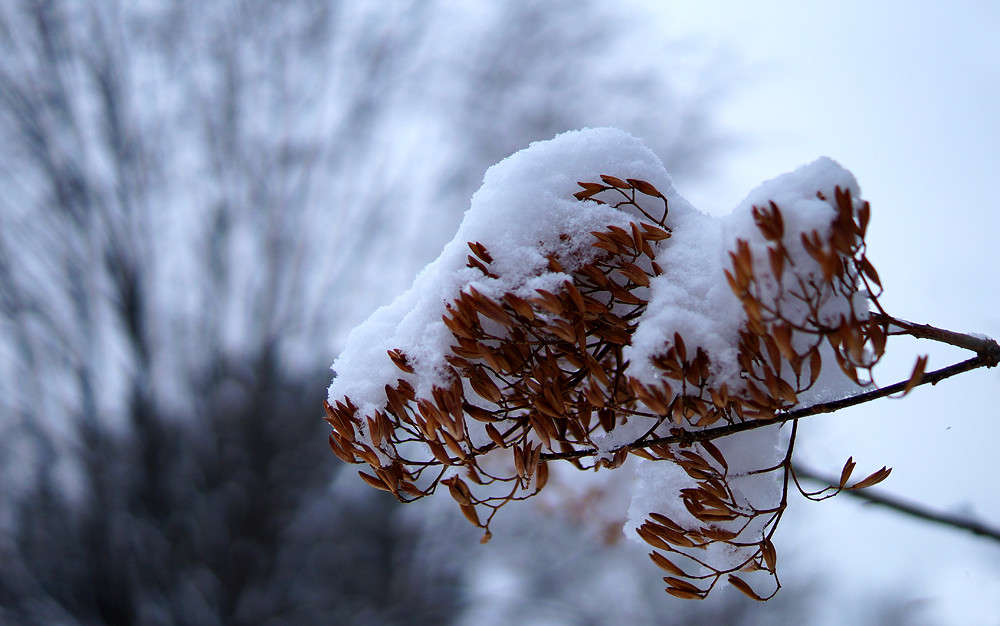 �������� ������� ����� �������  �� PhotoGeek.ru #������ ��� �������