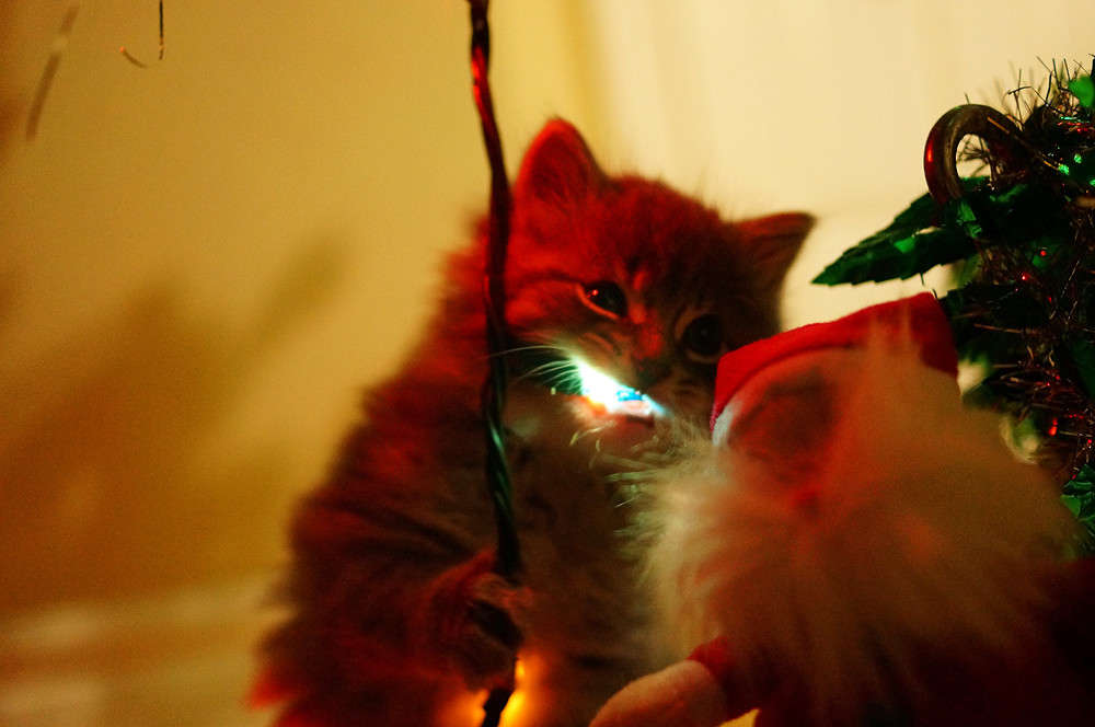 ����������� ����� �������  �� PhotoGeek.ru #�������� ���