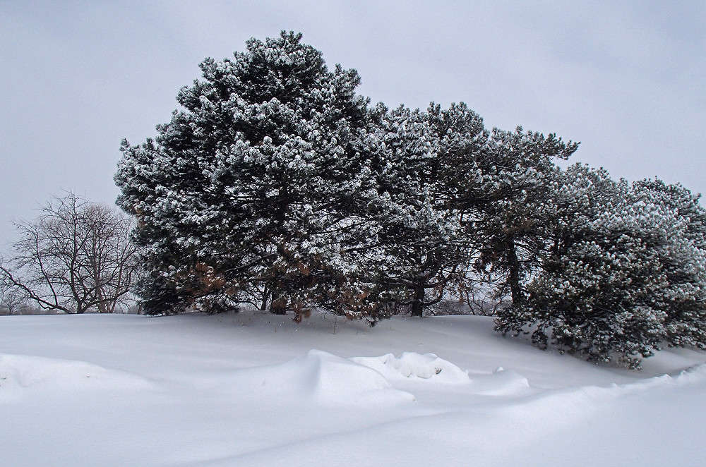 ����� ������ ������ ����� �������  �� PhotoGeek.ru #������ ��� �������