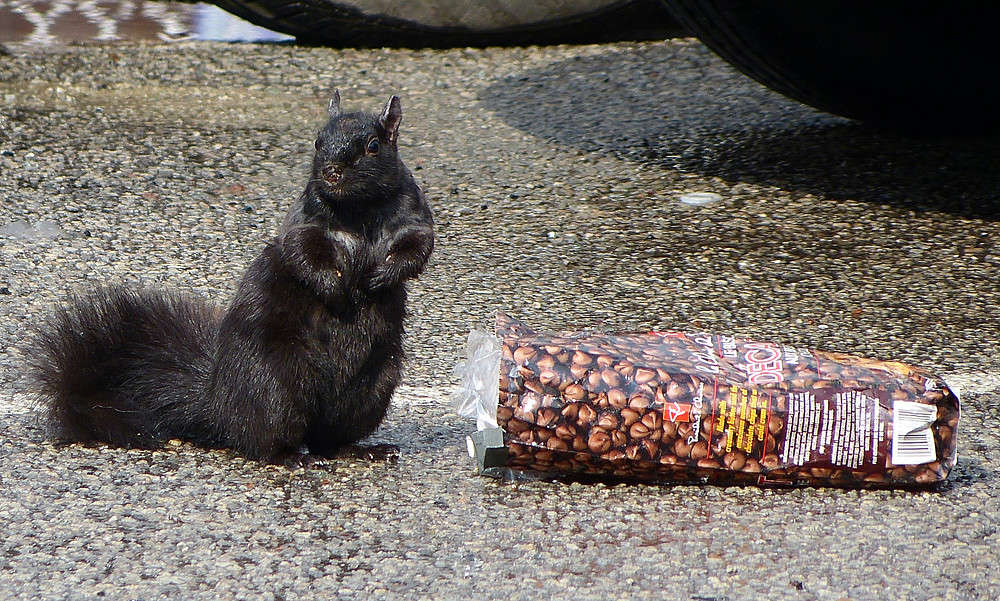 ������������ ����� �������  �� PhotoGeek.ru #�������� ���