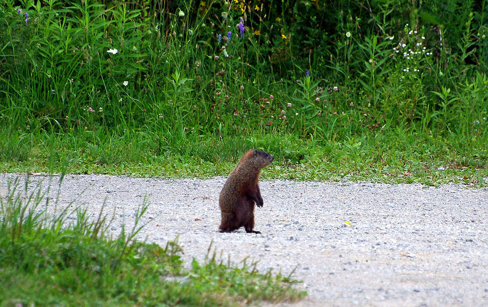 ������ ������� ����� �������  �� PhotoGeek.ru #�������� ���