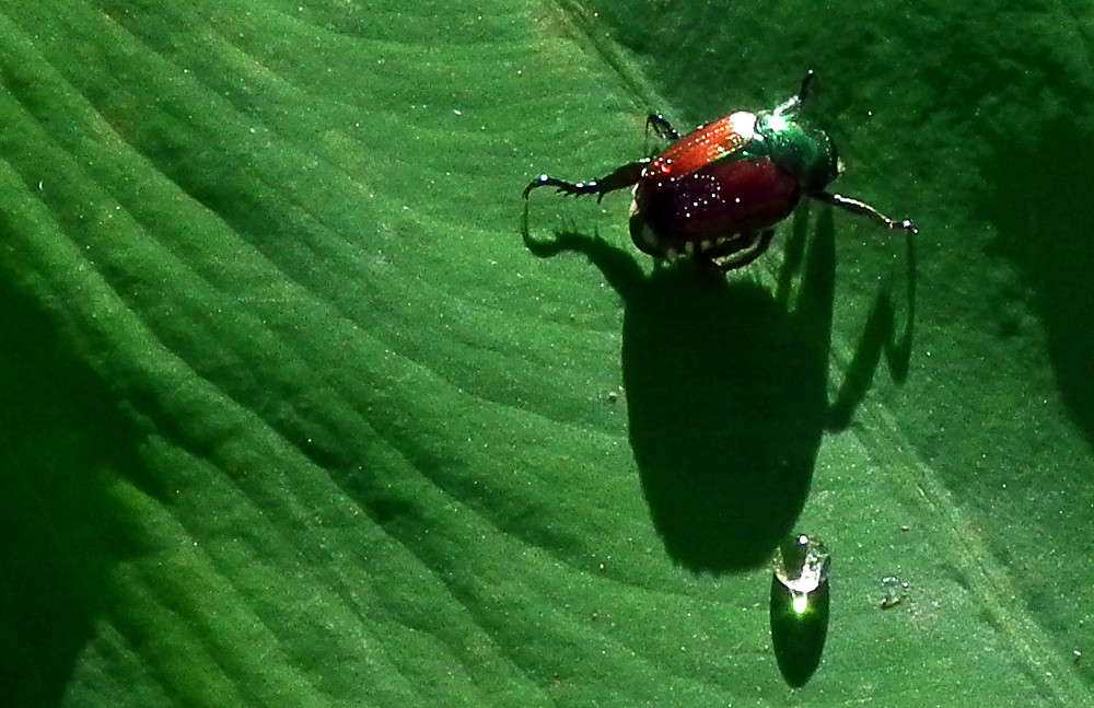 �� ������� � �� �������� ����� �������  �� PhotoGeek.ru #�������� ��� #������ ��� �������