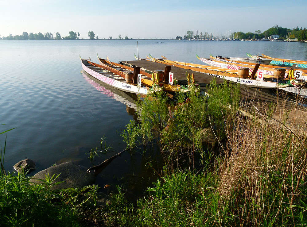 Dragon Boats ����� �������  �� PhotoGeek.ru #�������� ����������