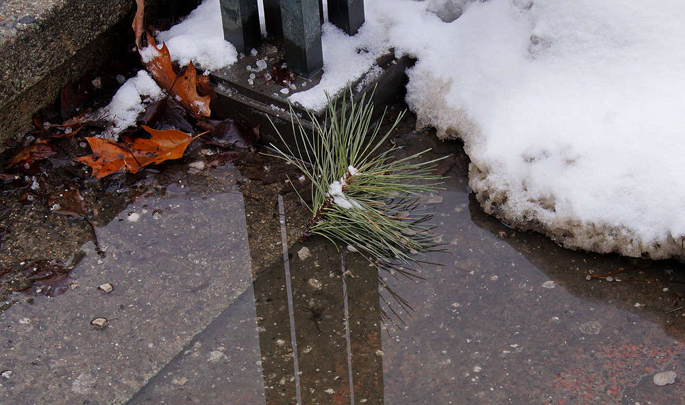 ���� ���������� ����� �������  �� PhotoGeek.ru #�����