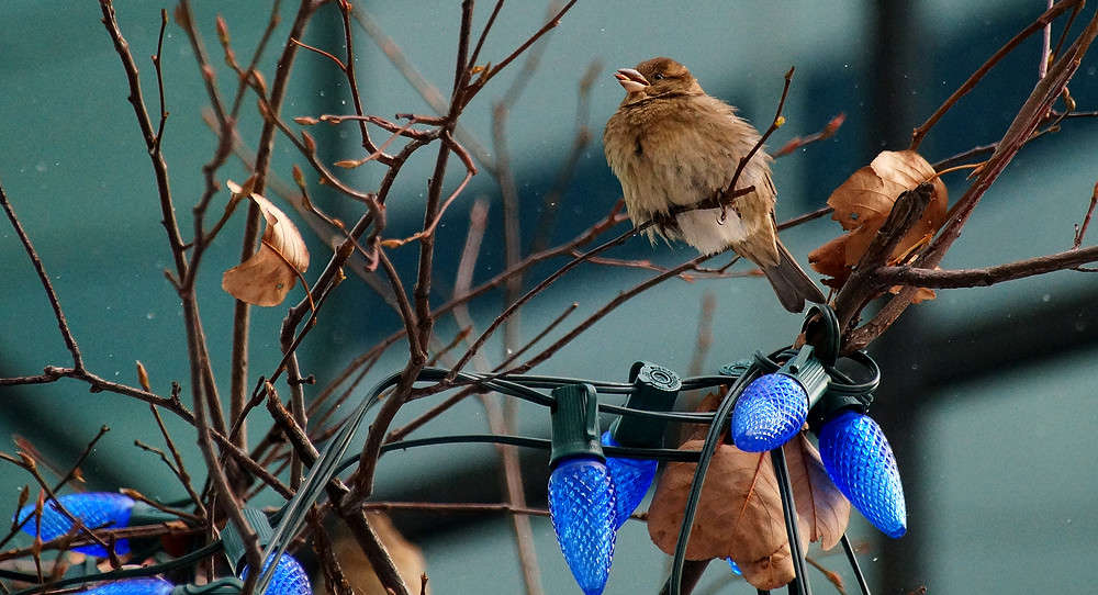 ���������� �� ������ ������ ����� �������  �� PhotoGeek.ru #�������� ���