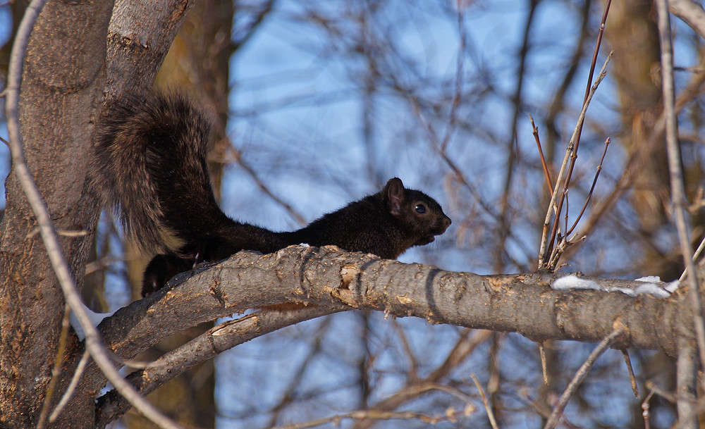 ������ ����� �������  �� PhotoGeek.ru #�������� ���