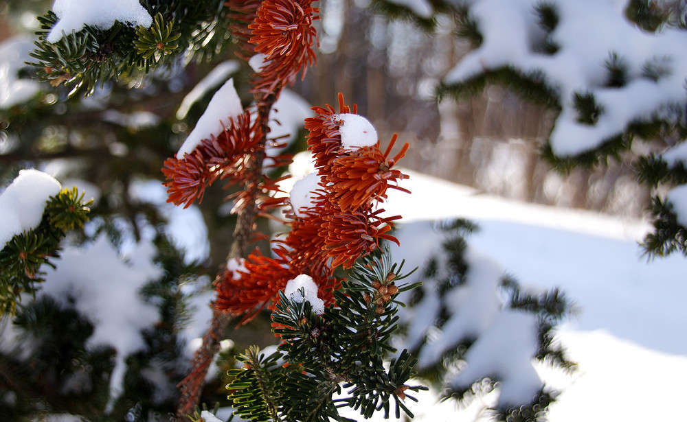 �������� � ����� ����� �������  �� PhotoGeek.ru #������ ��� �������