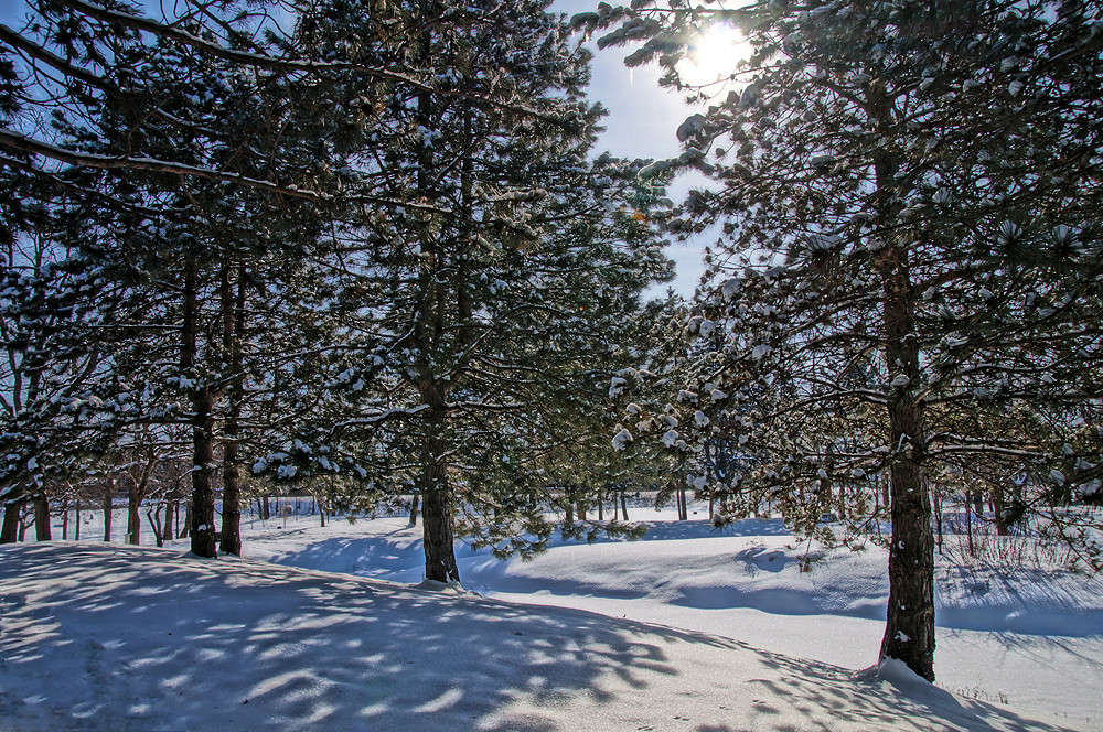 ��������� ���������� ����� �������  �� PhotoGeek.ru #������ ��� �������