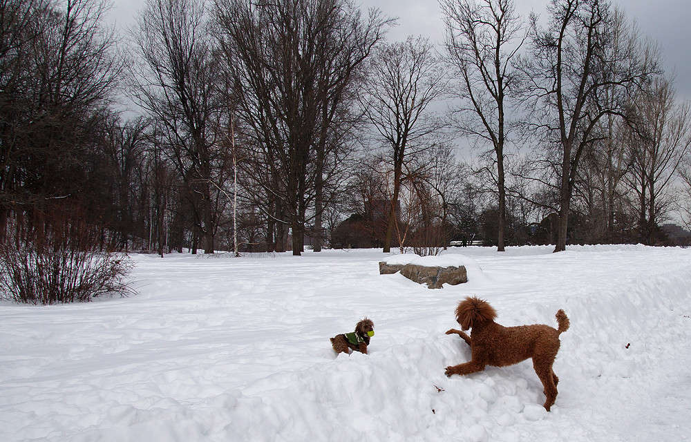 ������ ������� ���� �� �������������? ����� �������  �� PhotoGeek.ru #�������� ���