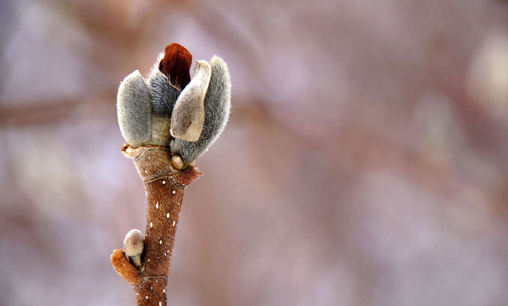 ������� ����� �������  �� PhotoGeek.ru #������ ��� �������