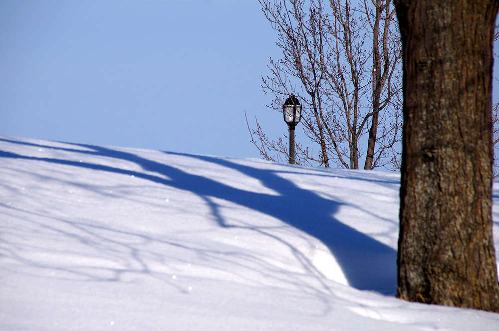 ��������� � ���� ����� �������  �� PhotoGeek.ru #�����