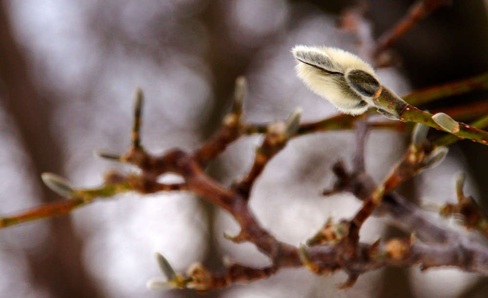 �������� ����� �������  �� PhotoGeek.ru #������ ��� �������