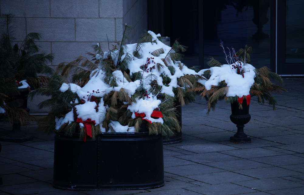 Family Day ����� �������  �� PhotoGeek.ru #�����