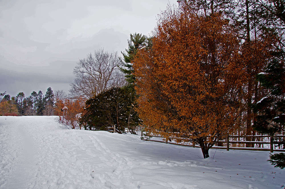 �������� ����� �������  �� PhotoGeek.ru #������ ��� �������