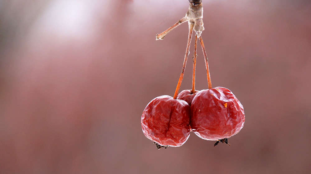 ���������� ������ ����� �������  �� PhotoGeek.ru #������ ��� �������