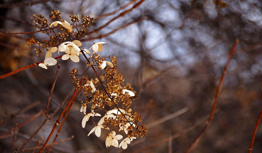 ������ ������ ����� �������  �� PhotoGeek.ru #������ ��� �������