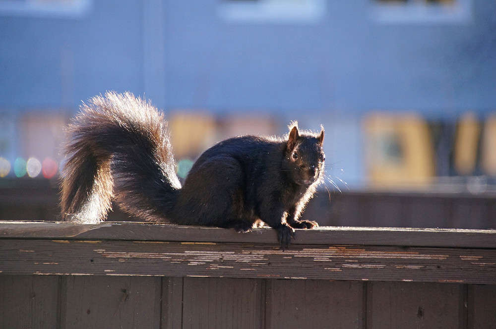 ������ ����� ����� �������  �� PhotoGeek.ru #�������� ���