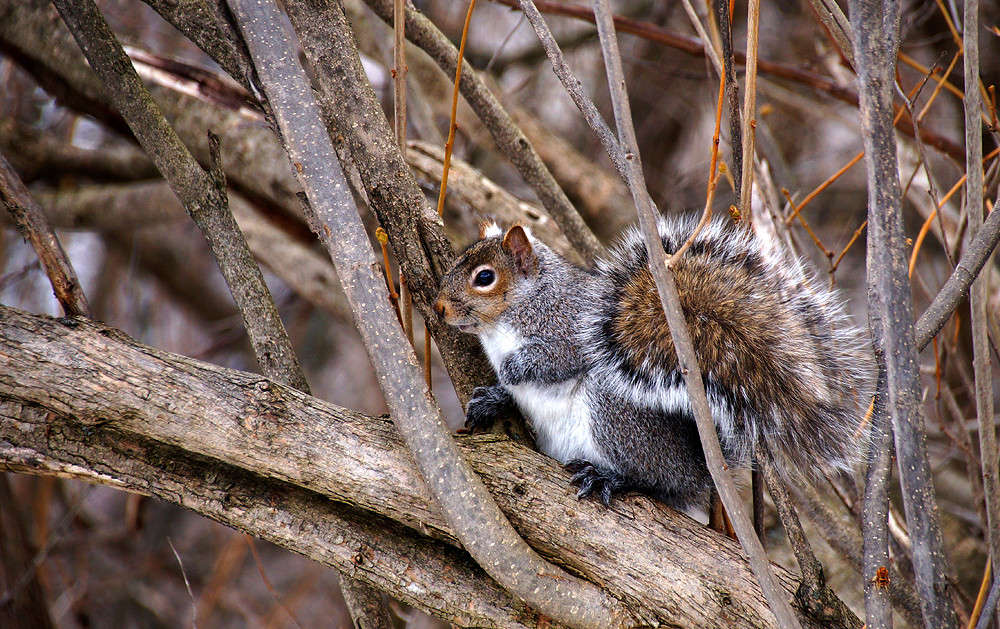 ����� ������� ����? ����� �������  �� PhotoGeek.ru #�������� ���