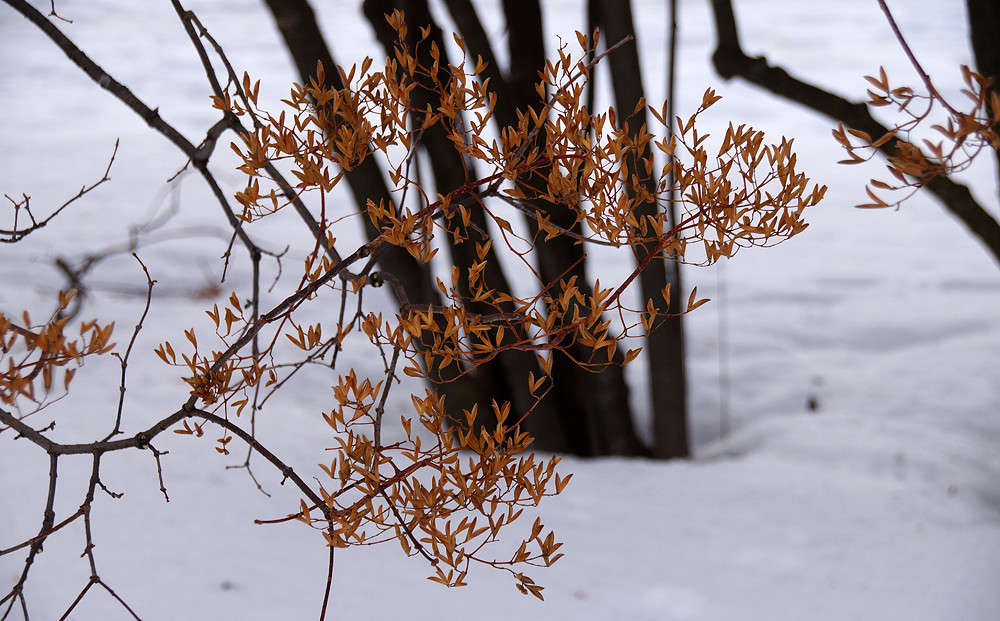 ����� ������� ����� �������  �� PhotoGeek.ru #������ ��� �������