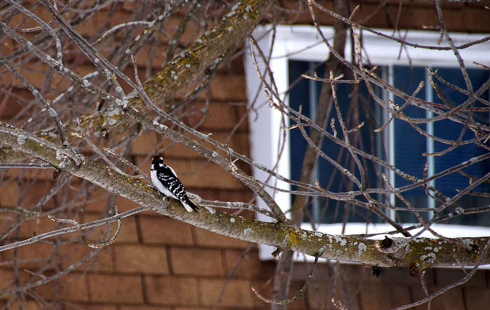 ���� ������� ���� ����� �������  �� PhotoGeek.ru #�����