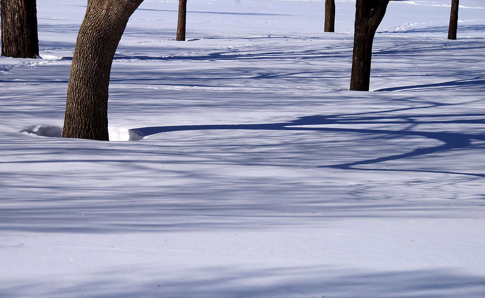 ���������� ���� ����� �������  �� PhotoGeek.ru #�����