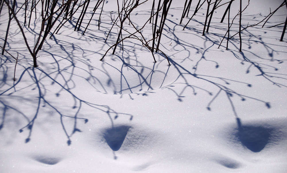 ������ ���� ����� �������  �� PhotoGeek.ru #������ ��� �������