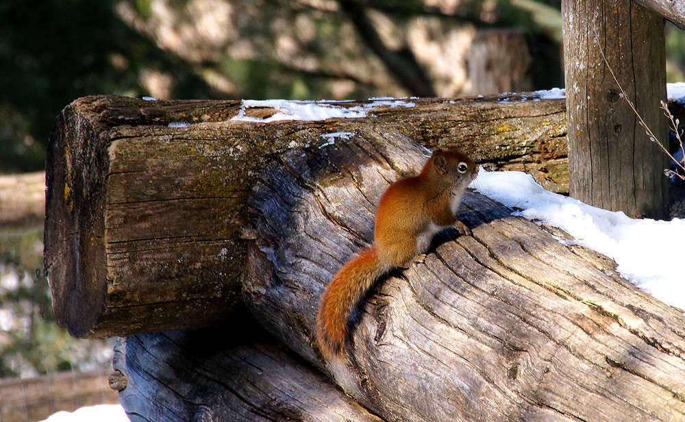 C �������� ����� �������  �� PhotoGeek.ru #�������� ���