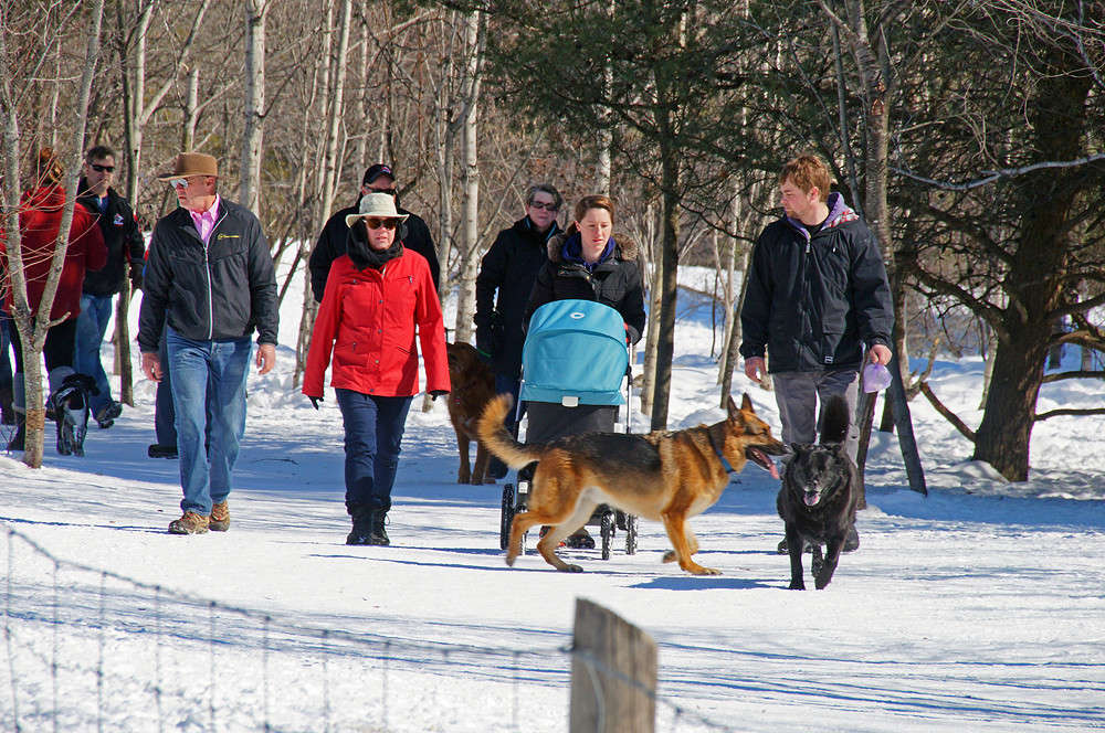 ������� ��������� ����� �������  �� PhotoGeek.ru #�����