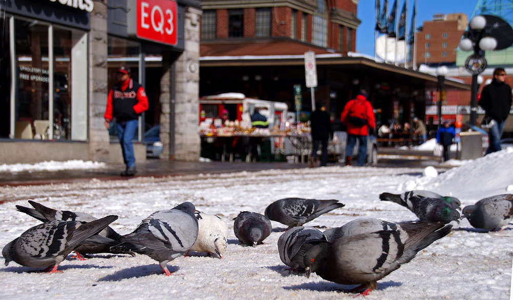 ������� ���� ����� �������  �� PhotoGeek.ru #�����