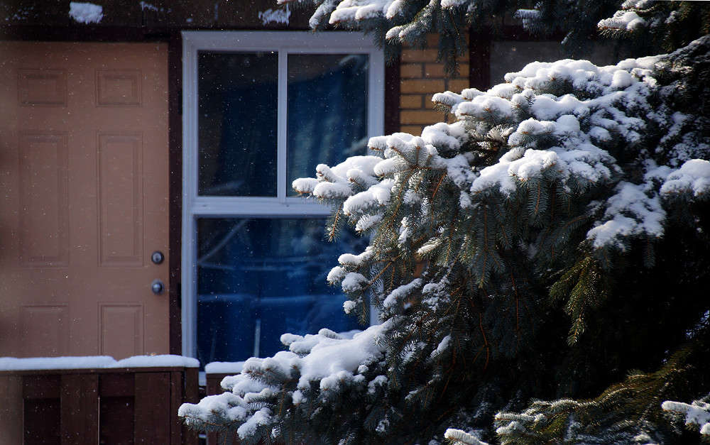 �����, ����� ����� �������  �� PhotoGeek.ru #�����