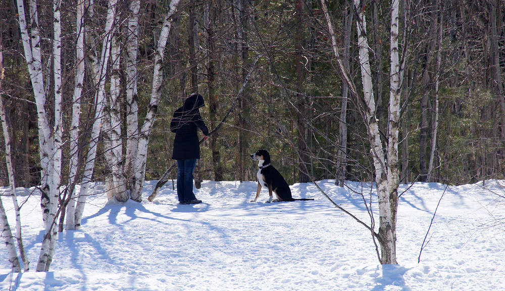 ����������� ����� �������  �� PhotoGeek.ru #�������� ���