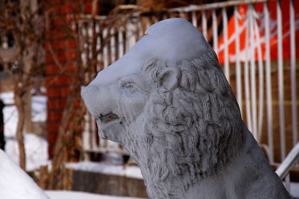 �� ������ ����� �� ������� ��� ����� �������  �� PhotoGeek.ru #�����