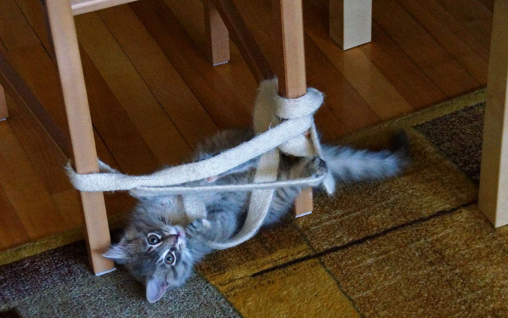 �������� ����������� ����� �������  �� PhotoGeek.ru #�������� ���