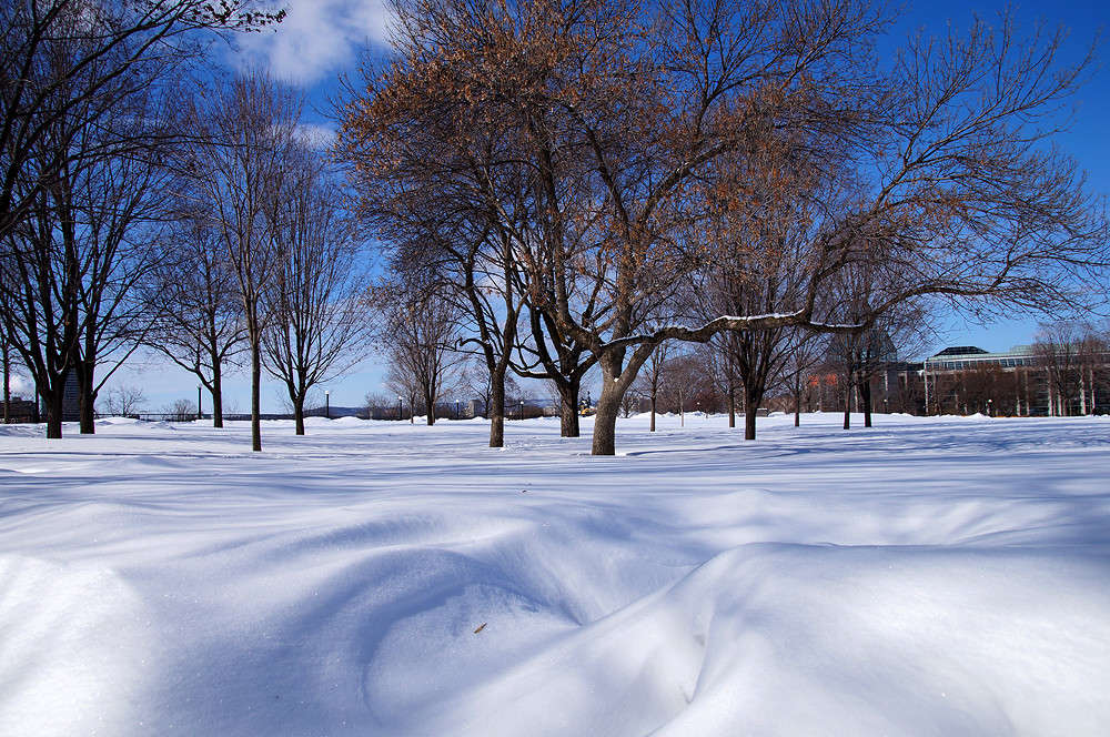 ���� �� ����� ����� �������  �� PhotoGeek.ru #�����